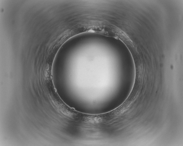 X0000059810073200510211127