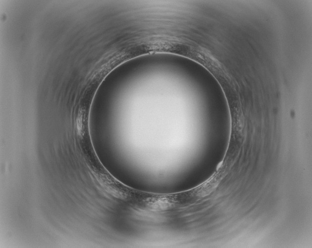 X0000059810074200510211127