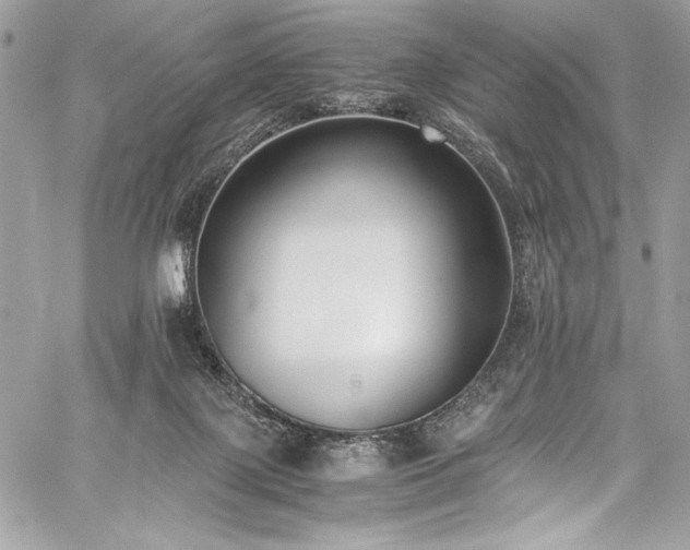 X0000059810075200510211127