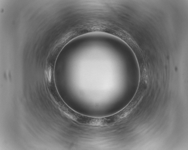 X0000059810076200510211127