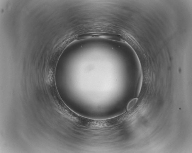 X0000059810077200510211127