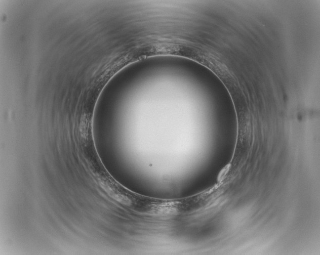 X0000059810078200510211127