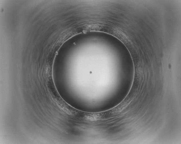 X0000059810079200510211127