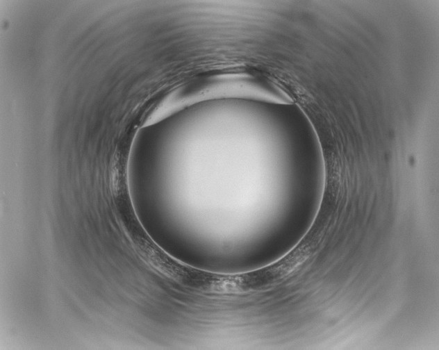 X0000059810080200510211127