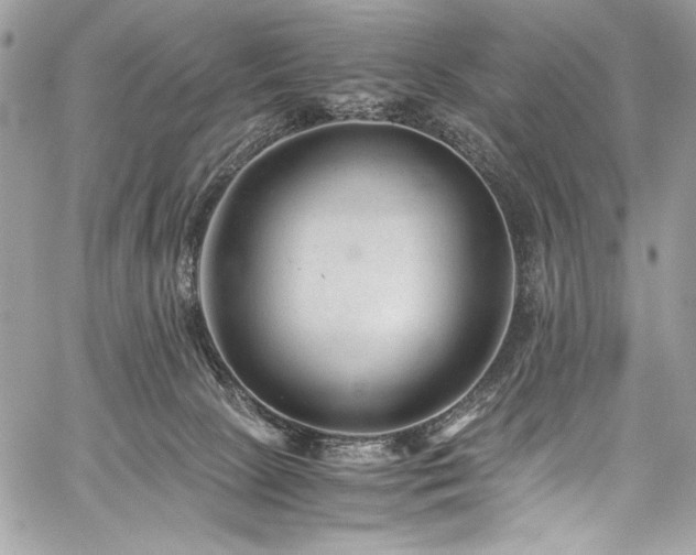 X0000059810081200510211127