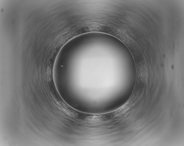 X0000059810082200510211127