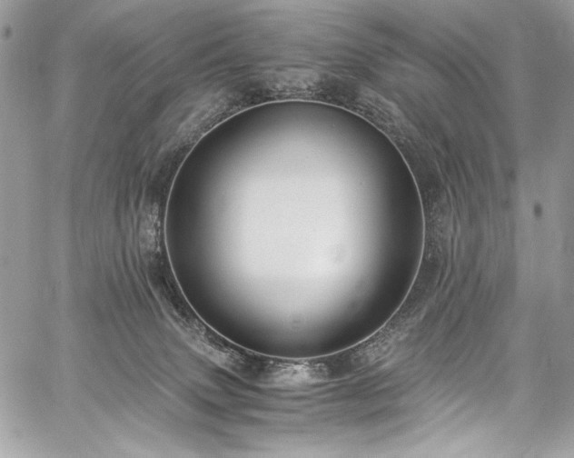 X0000059810083200510211127