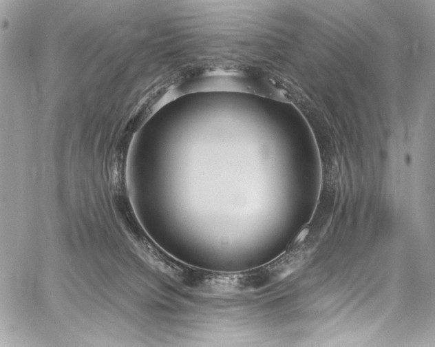 X0000059810084200510211127