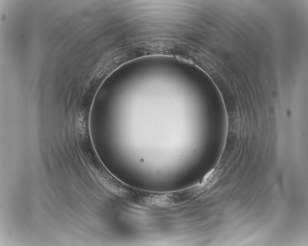 X0000059810086200510211127