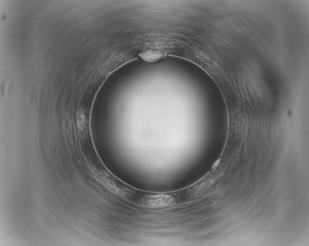 X0000059810087200510211127