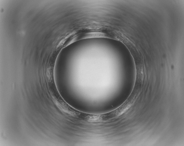 X0000059810088200510211127