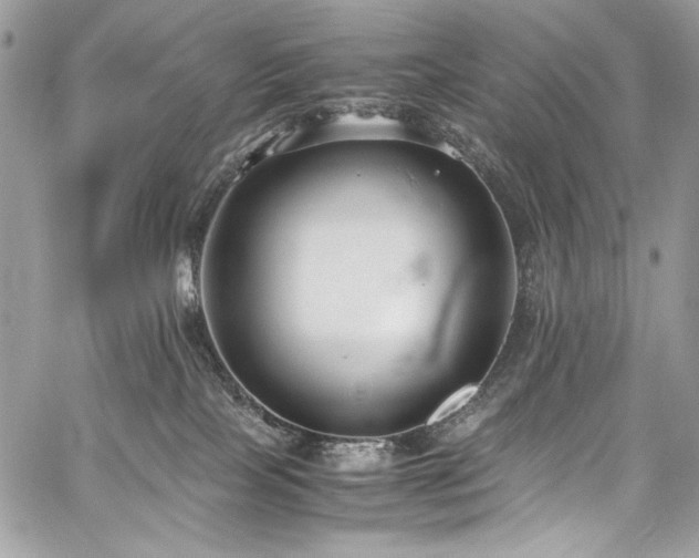 X0000059810089200510211127