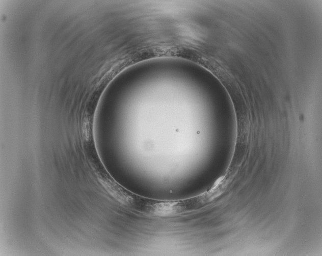 X0000059810090200510211127