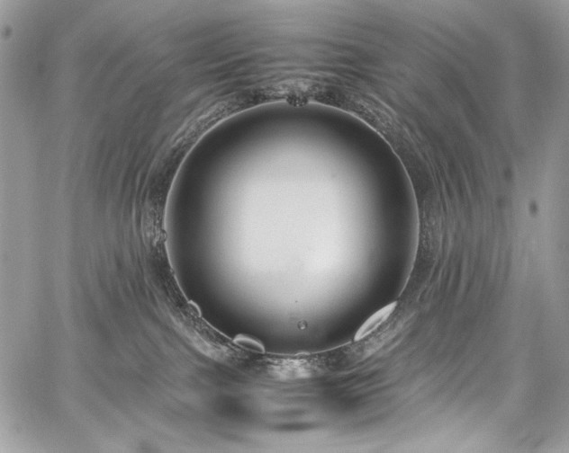 X0000059810091200510211127