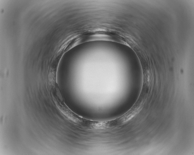 X0000059810092200510211127