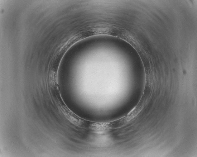 X0000059810093200510211127