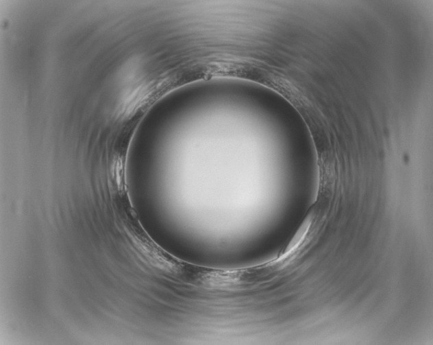 X0000059810094200510211128