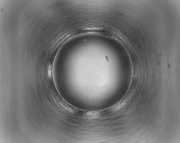 X0000059810095200510211128