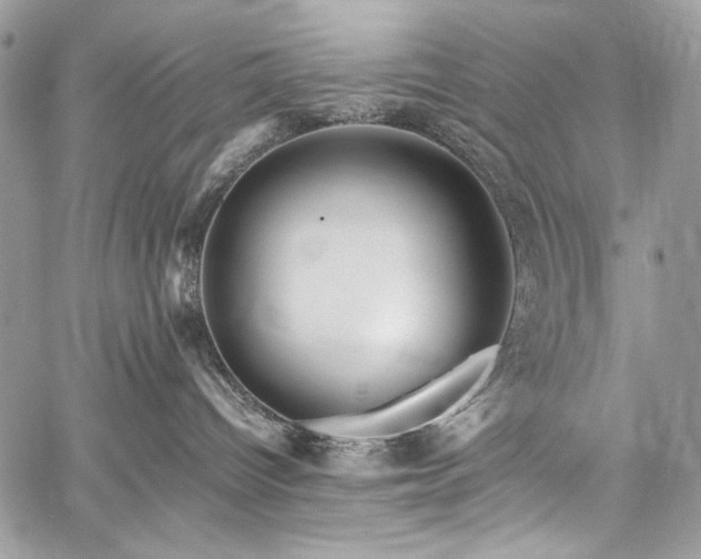 X0000059810096200510211128