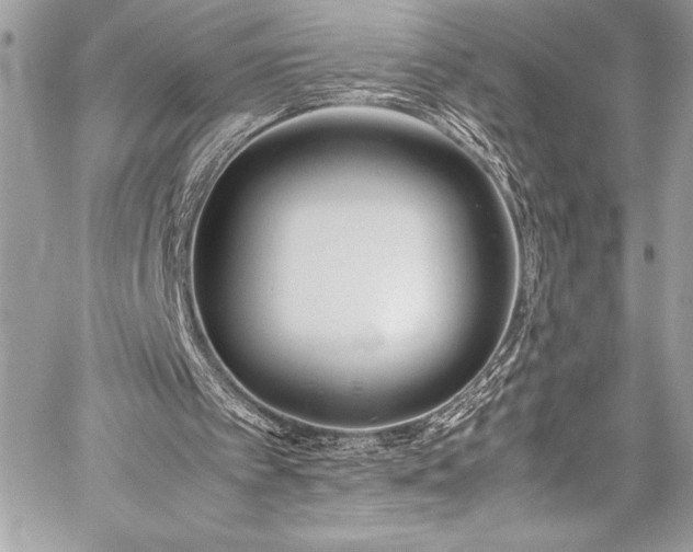 X0000059810097200510211127