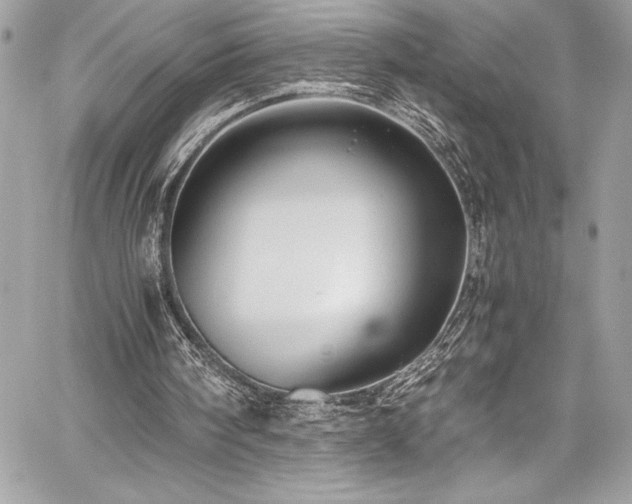 X0000059810098200510211127