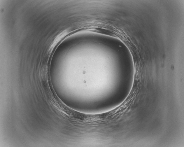 X0000059810099200510211127