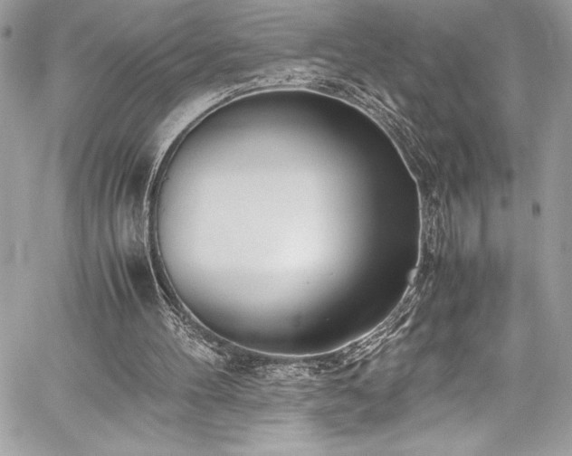 X0000059810100200510211127