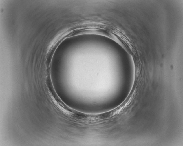 X0000059810101200510211127