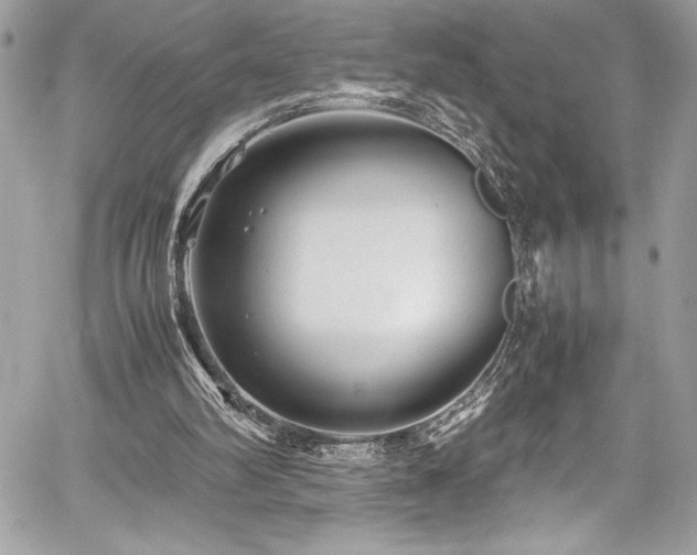 X0000059810102200510211127