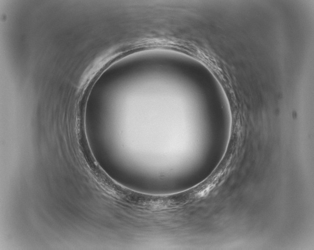 X0000059810103200510211127