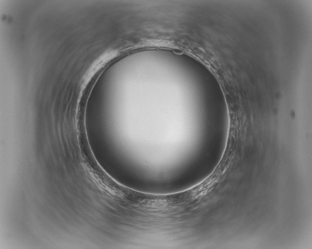 X0000059810104200510211127