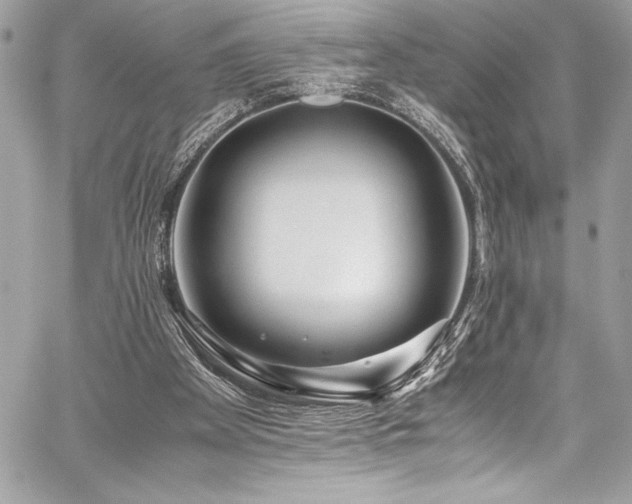 X0000059810105200510211127