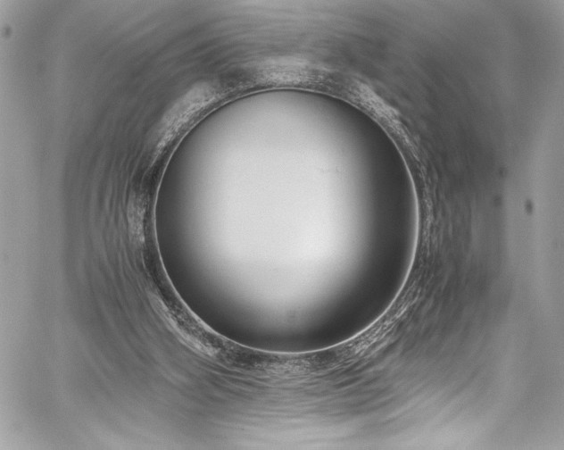 X0000059810106200510211127