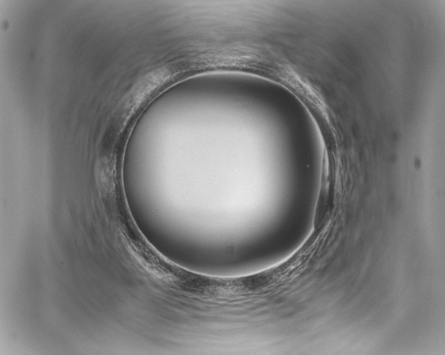 X0000059810107200510211127