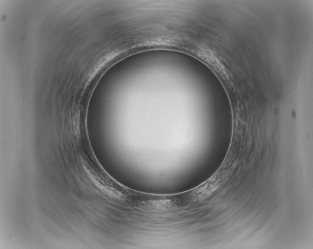 X0000059810108200510211127