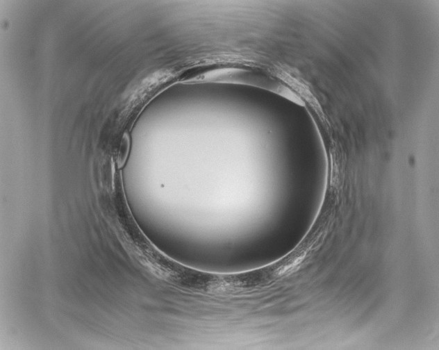 X0000059810109200510211127