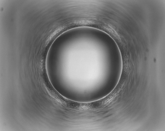 X0000059810111200510211127