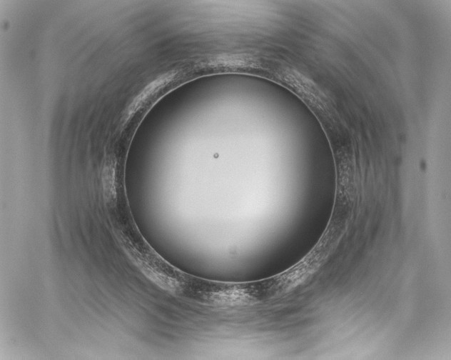 X0000059810112200510211127