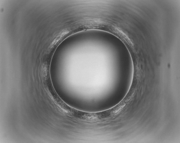 X0000059810113200510211127