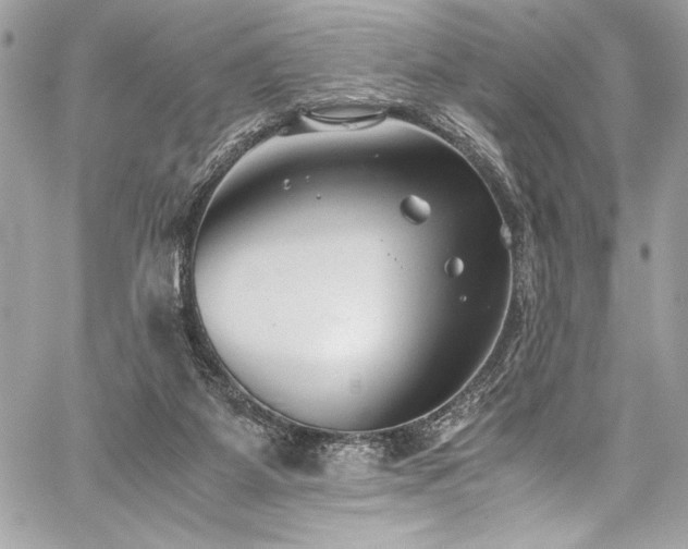 X0000059810115200510211126