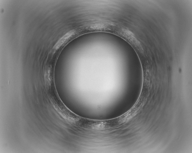 X0000059810116200510211126