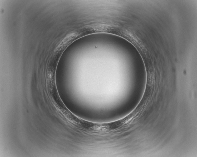 X0000059810117200510211126