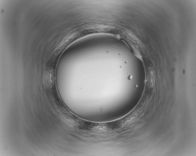 X0000059810119200510211126