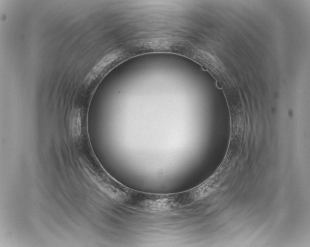 X0000059810120200510211126