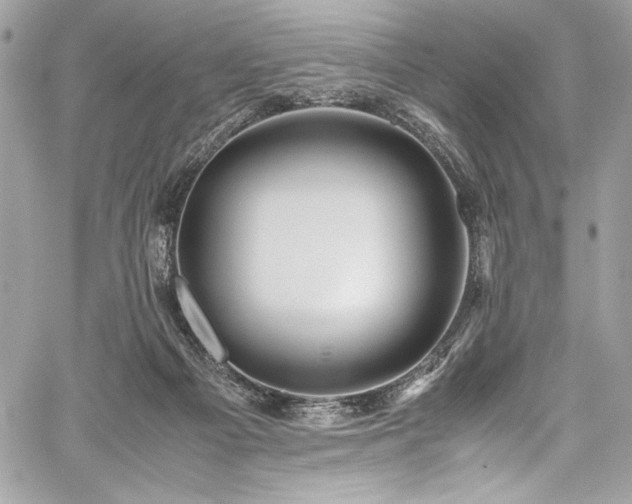 X0000059810121200510211126