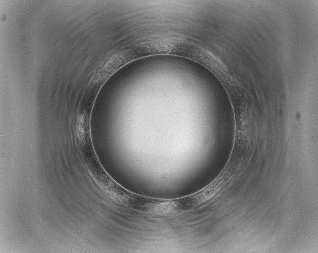 X0000059810122200510211126