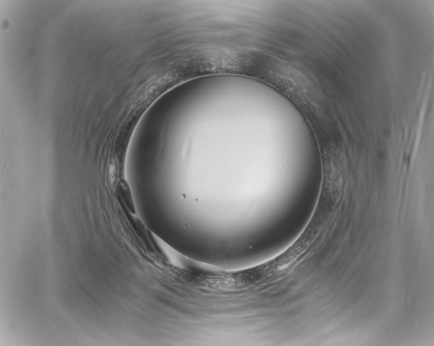 X0000059810123200510211126