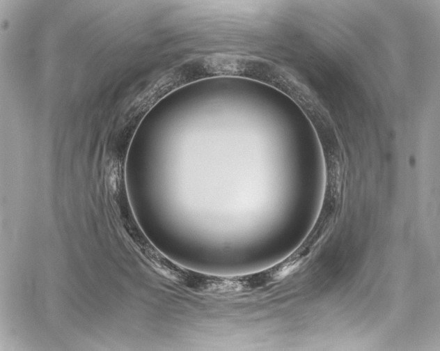 X0000059810125200510211126