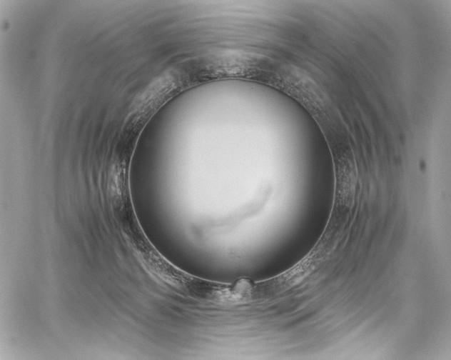 X0000059810126200510211126