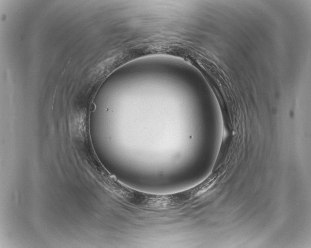 X0000059810127200510211126